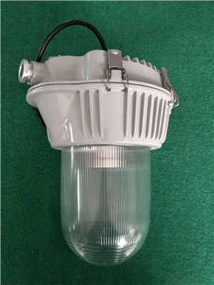 NF302防水防塵工廠燈 工業照明的堅實防線