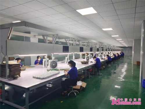 成武縣南魯集鎮(zhèn) 做強(qiáng)工業(yè)經(jīng)濟(jì)，以電子產(chǎn)品研發(fā)與銷售為引擎，護(hù)航經(jīng)濟(jì)社會(huì)高質(zhì)量發(fā)展